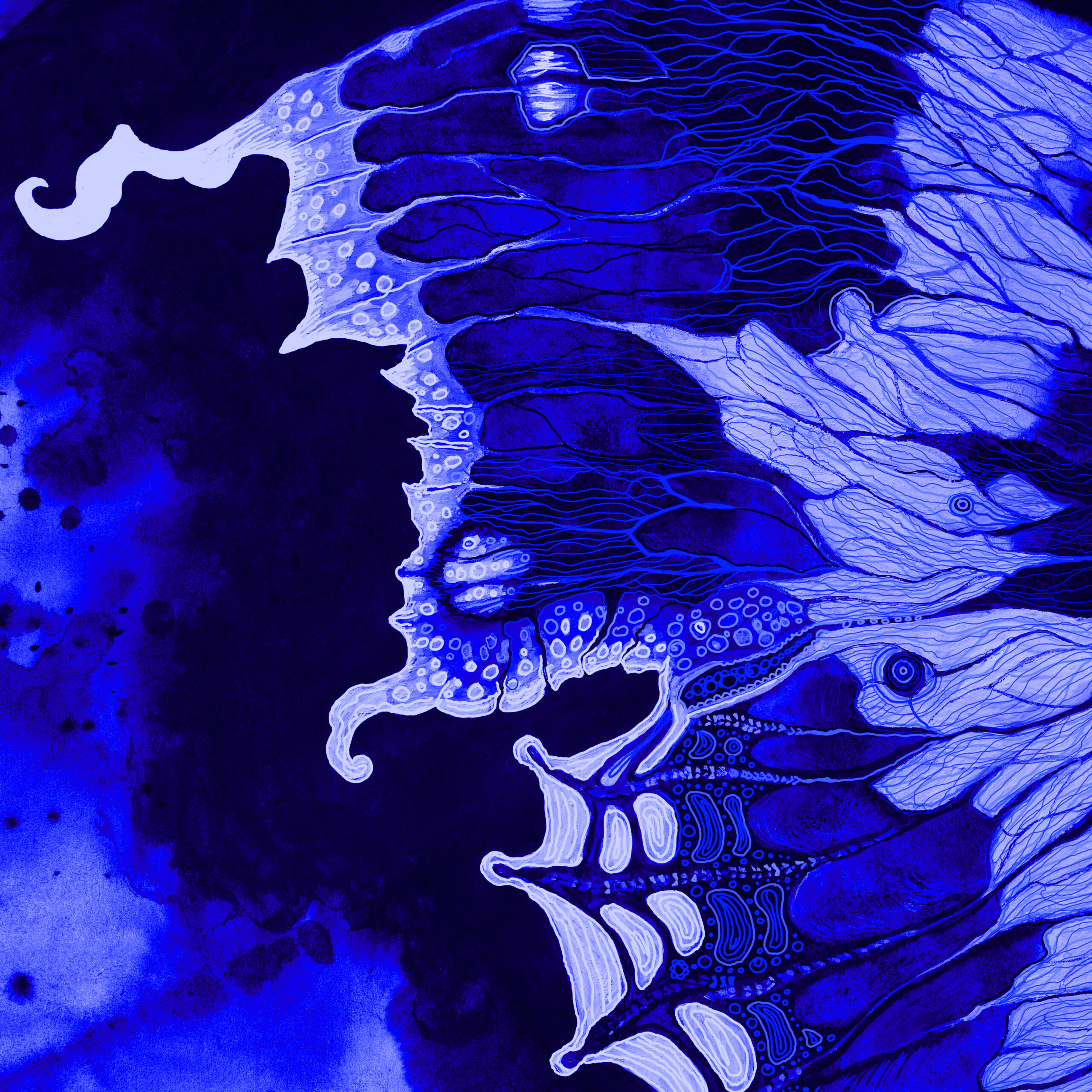 Persian Butterfly Remastered Cover Persian Butterfly Remastered Cover
